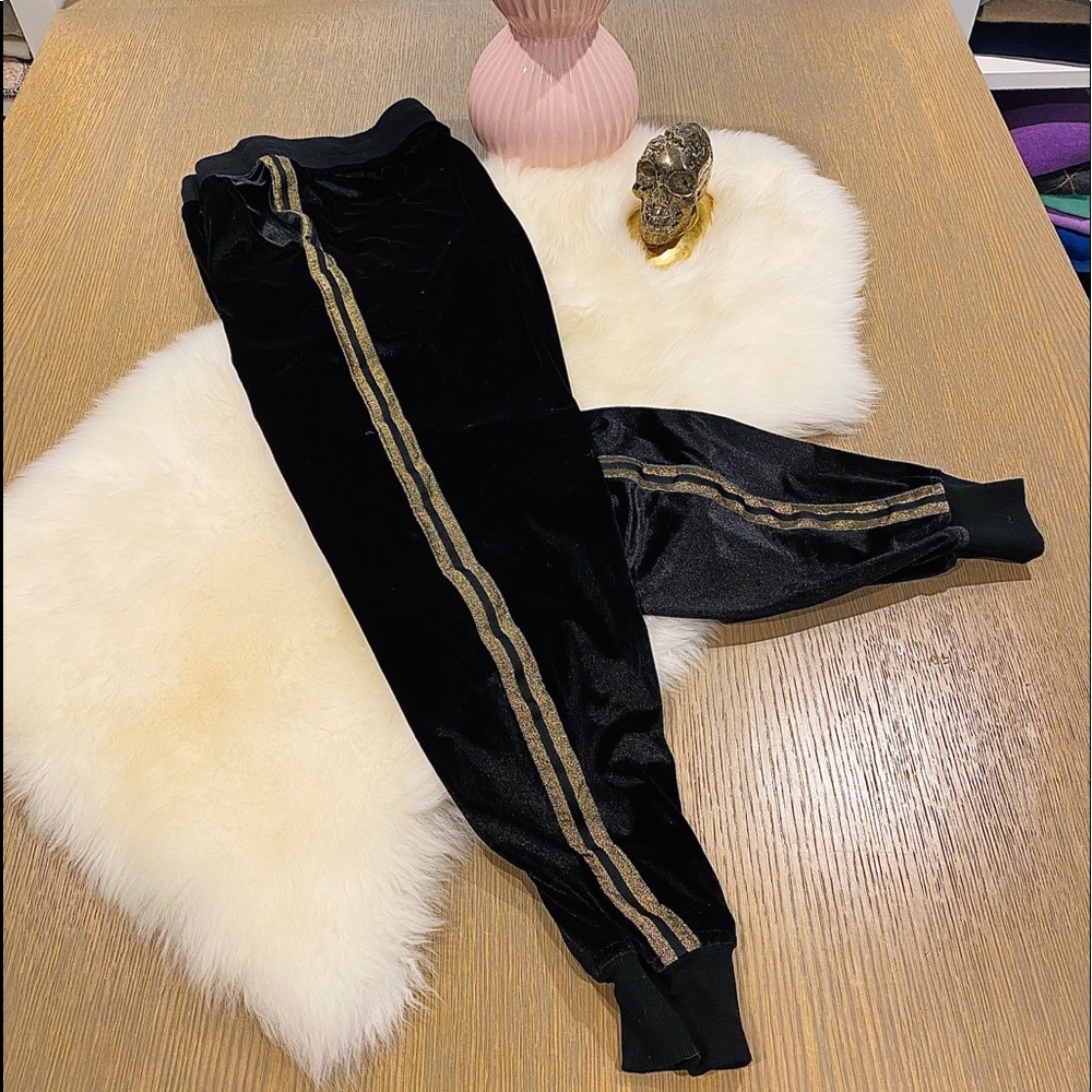 ▪️HUDSON▪️ Velour Tuxedo Stripe Joggers